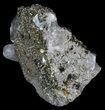 Chalcopyrite & Calcite Specimen - Missouri #35106-2